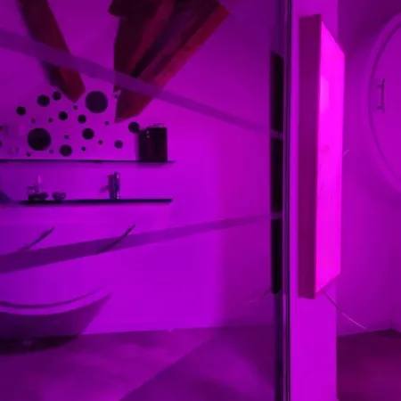 Nid De Cigogne Apartment