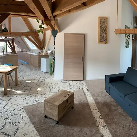 Nid De Cigogne * Illhaeusern