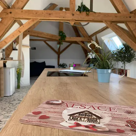 Apartment Nid De Cigogne