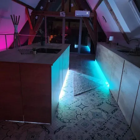 Appartement Nid De Cigogne Illhaeusern