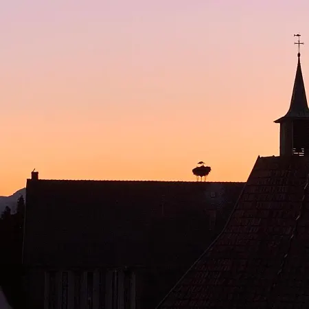 Nid De Cigogne Illhaeusern