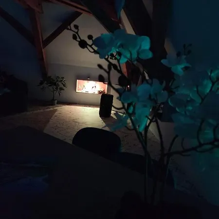 Nid De Cigogne Apartment