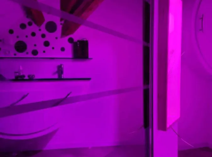 Nid De Cigogne アパート