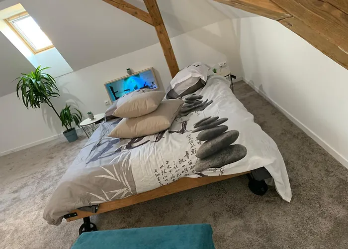 Nid De Cigogne アパート イラウーゼルヌ