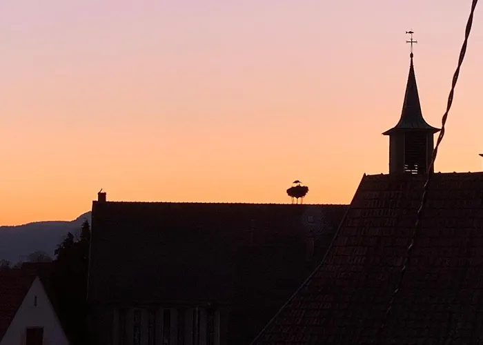 Nid De Cigogne イラウーゼルヌ