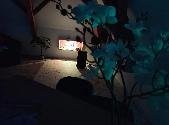 Nid De Cigogne アパート